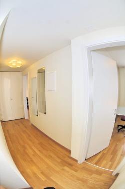 3,5-Zimmer-Apartment